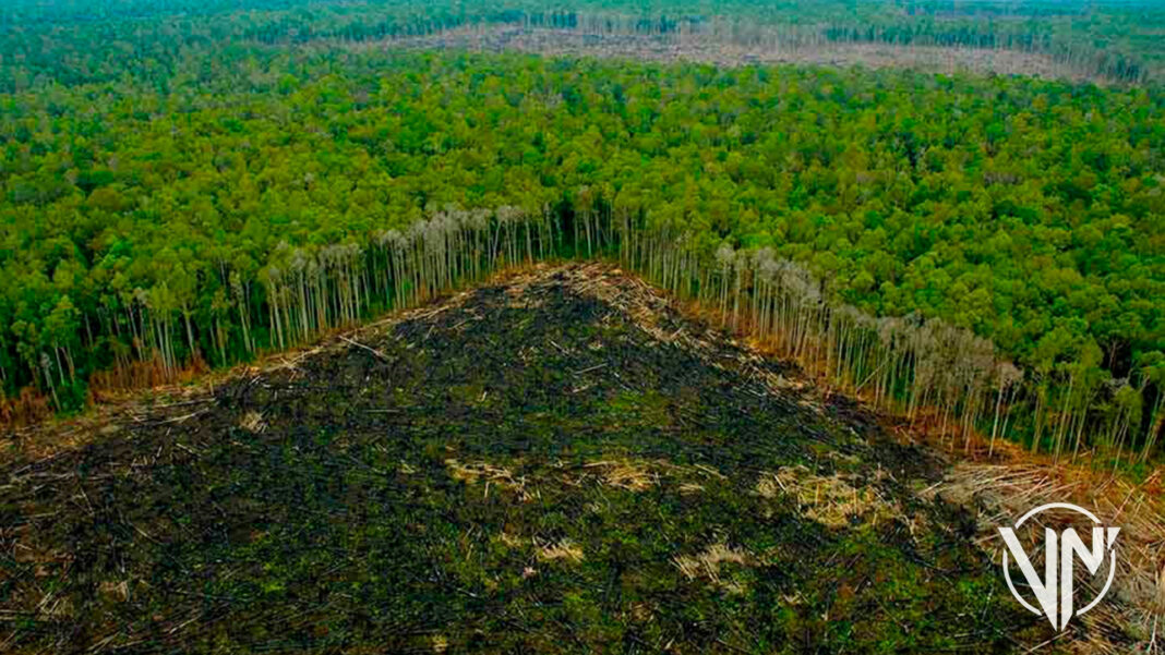 Brasil cancela explotación de oro en la selva amazónica