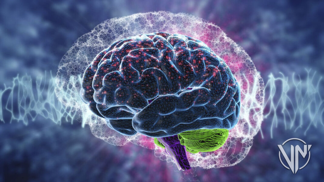 Investigadores determinan área del cerebro que corresponde al clítoris