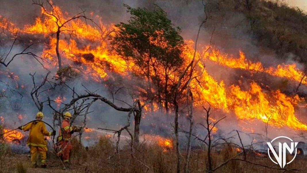 Incendios forestales azotan
