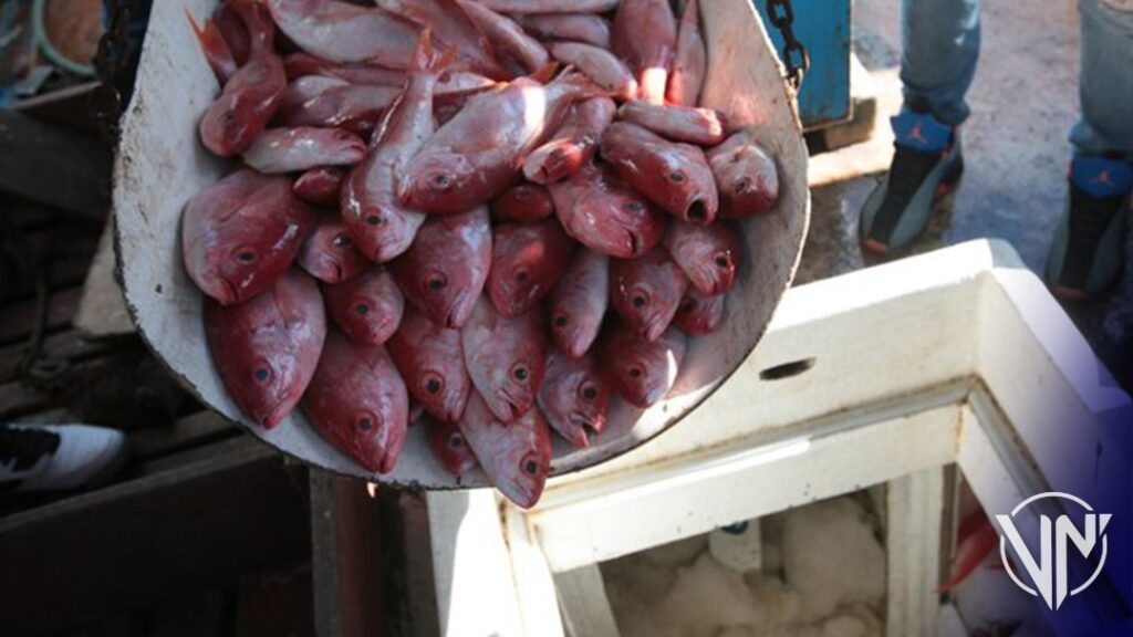 Presidente Maduro exige incorporar pescado a los CLAP