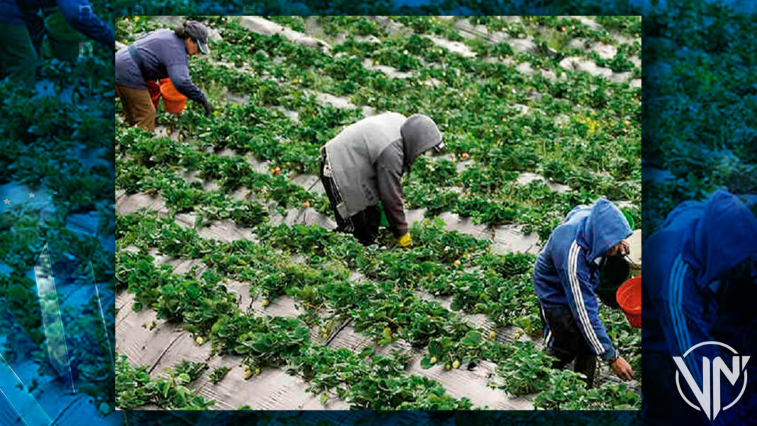 Venezuela, la FAO y la UE firman convenios para desarrollo agrícola