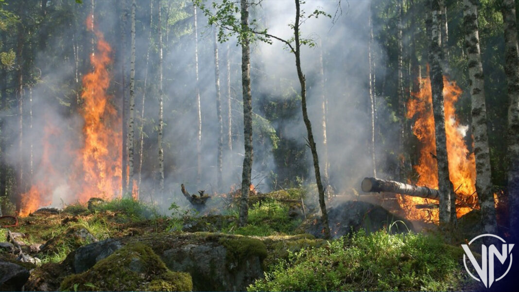 ONU alertó aumento de incendios forestales para 20230