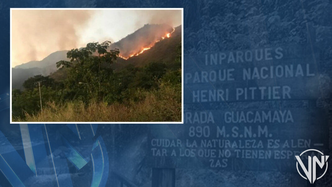 Incendios forestales afectan al Parque Nacional Henri Pittier