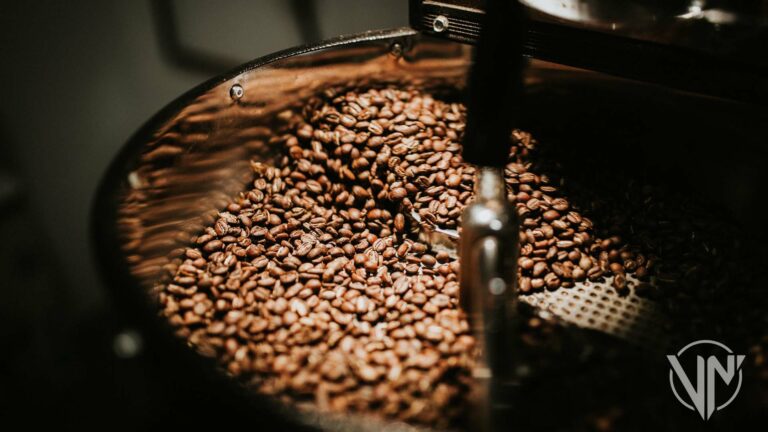 Fedeagro estima crecimiento de 24% en producción de café para este año