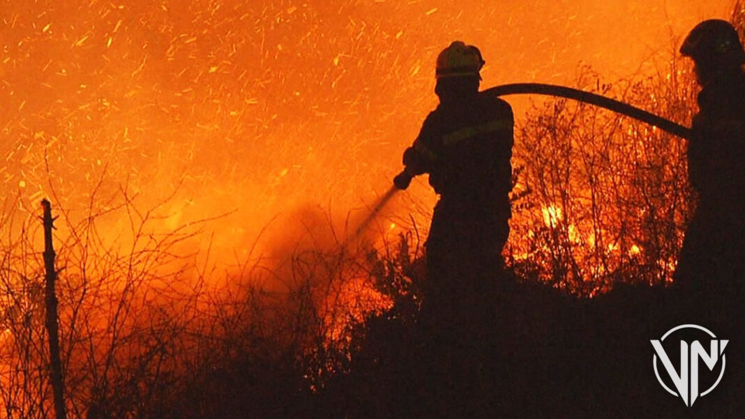 40 viviendas afectadas por incendios forestales en Chile