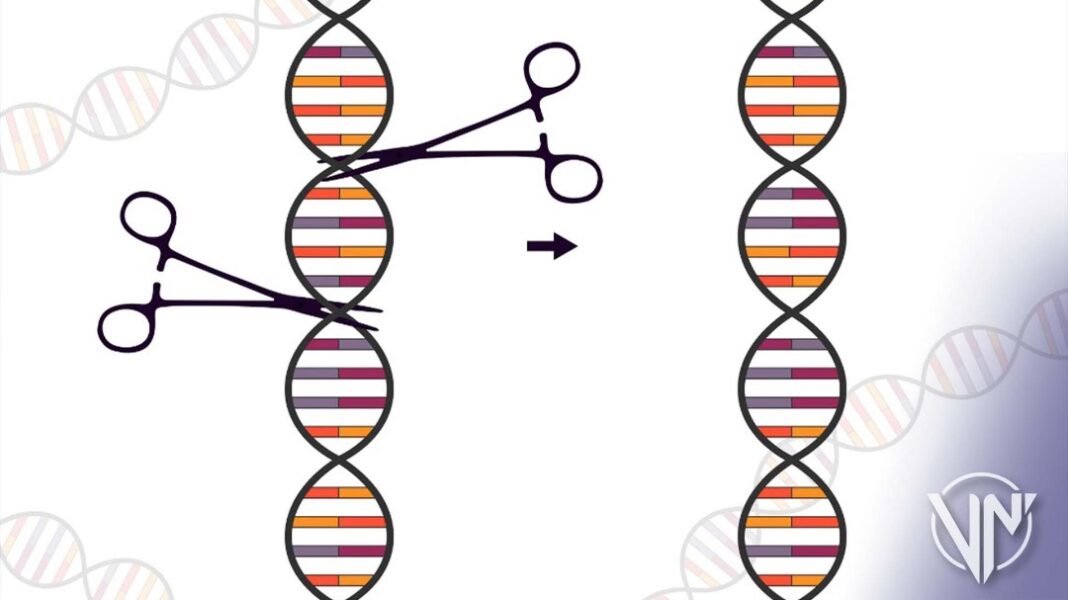 Una larga pugna por la patente de edición genética CRISP