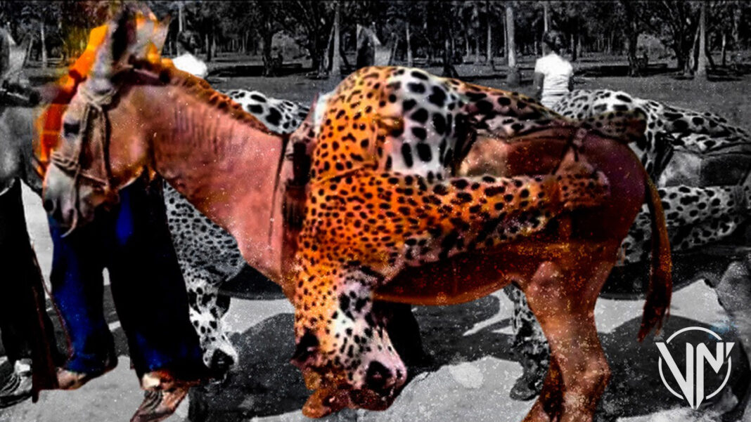 asesinato jaguar