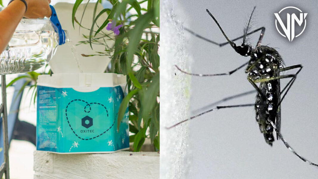 Estados Unidos se prepara para probar sus mosquitos editados genéticamente