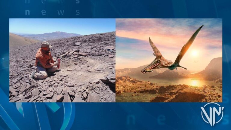 Científicos chilenos descubren cementerio de «dragones voladores prehistóricos»