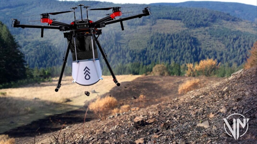 Impulsan el uso de drones para la reforestación de los bosques