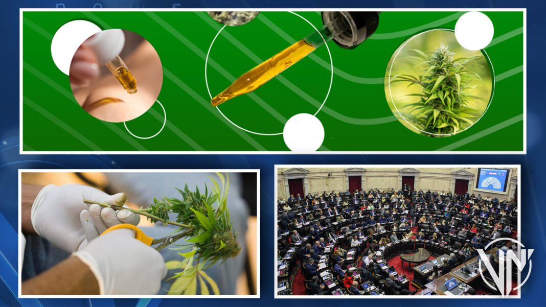 Congreso de Argentina aprueba ley para promover industria del cannabis medicinal