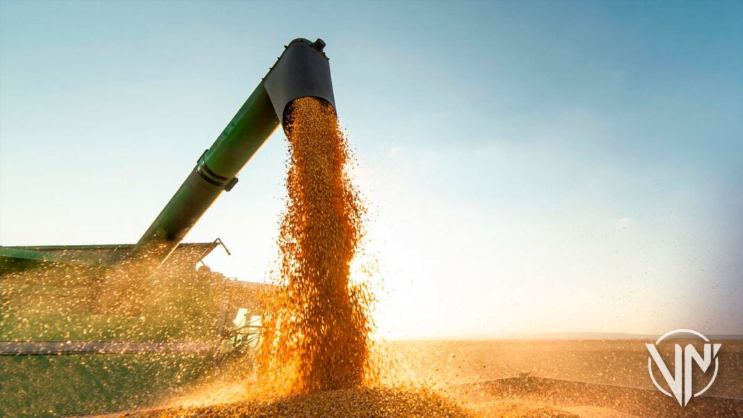 China insta a facilitar las exportaciones de cereales de Rusia y Ucrania
