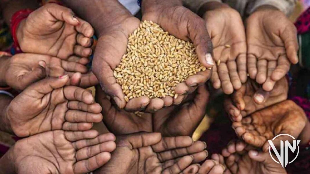 ONU alertó que crisis alimentaria alcanzará dimensiones globales para 2023