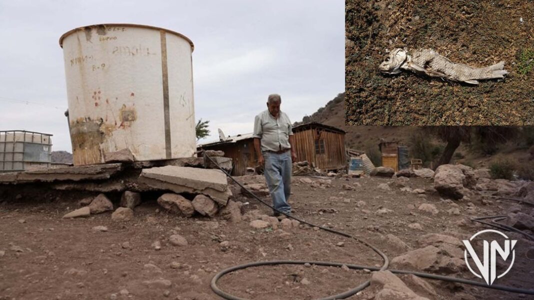 Sequía histórica en Chile convierte embalse de Penuelas en un desierto