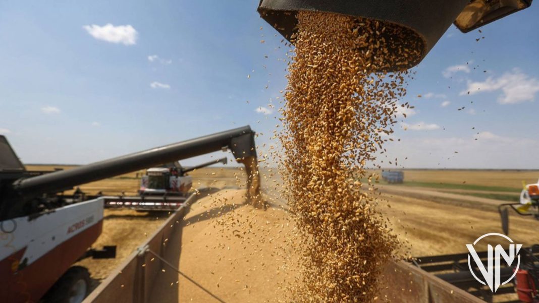 Rusia y Ucrania suscriben acuerdo para exportar granos con Türkiye y ONU