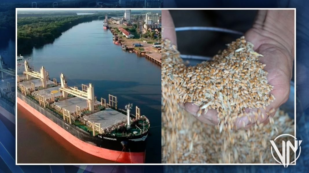Rusia y Ucrania abordan en Türkiye exportación segura de granos