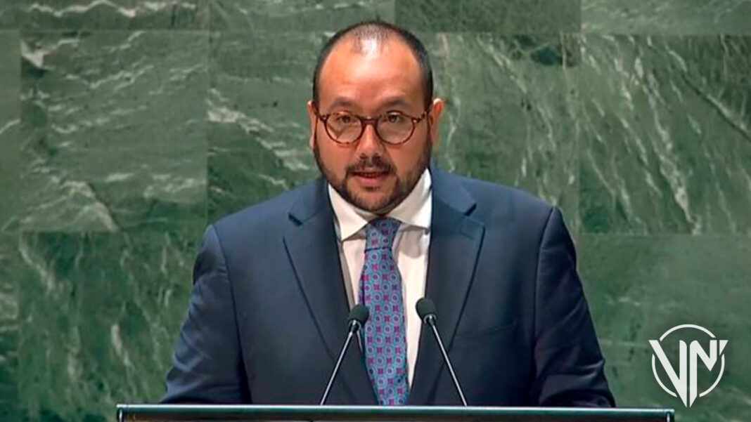 Venezuela representó a Grupo de Amigos de ONU ante Consejo de Seguridad