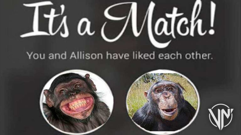 Crean un Tinder para monos para entender sus emociones