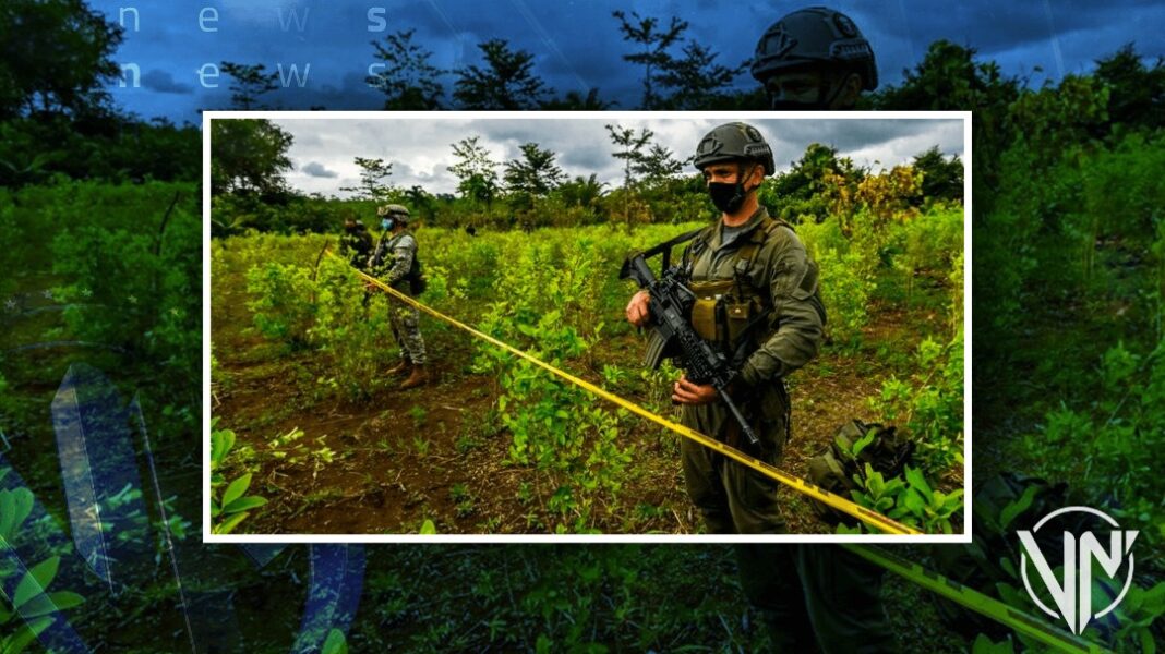 EEUU renovó ayuda a Colombia para hacer frente al narcotráfico