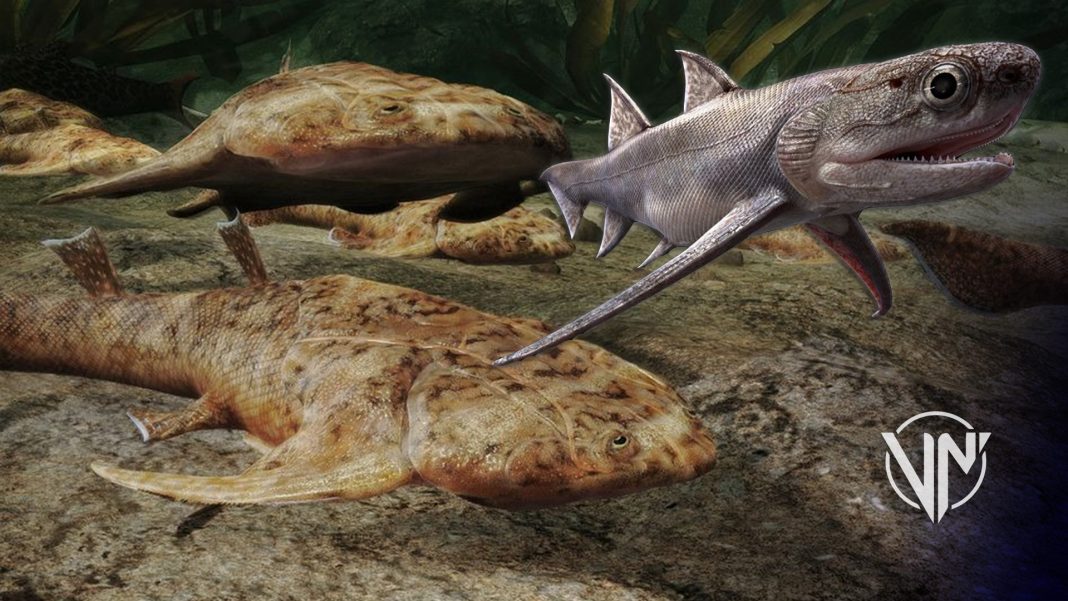 Origen de las mandíbulas están en fósiles de peces chinos