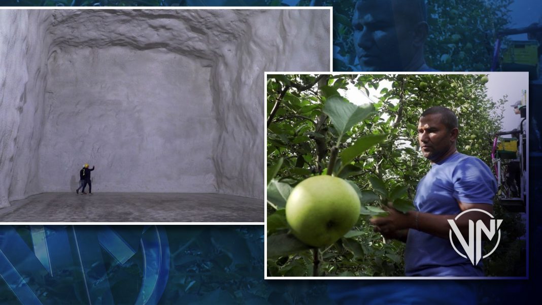 Fruticultores de Italia guardan sus manzanas en cuevas refrigerantes