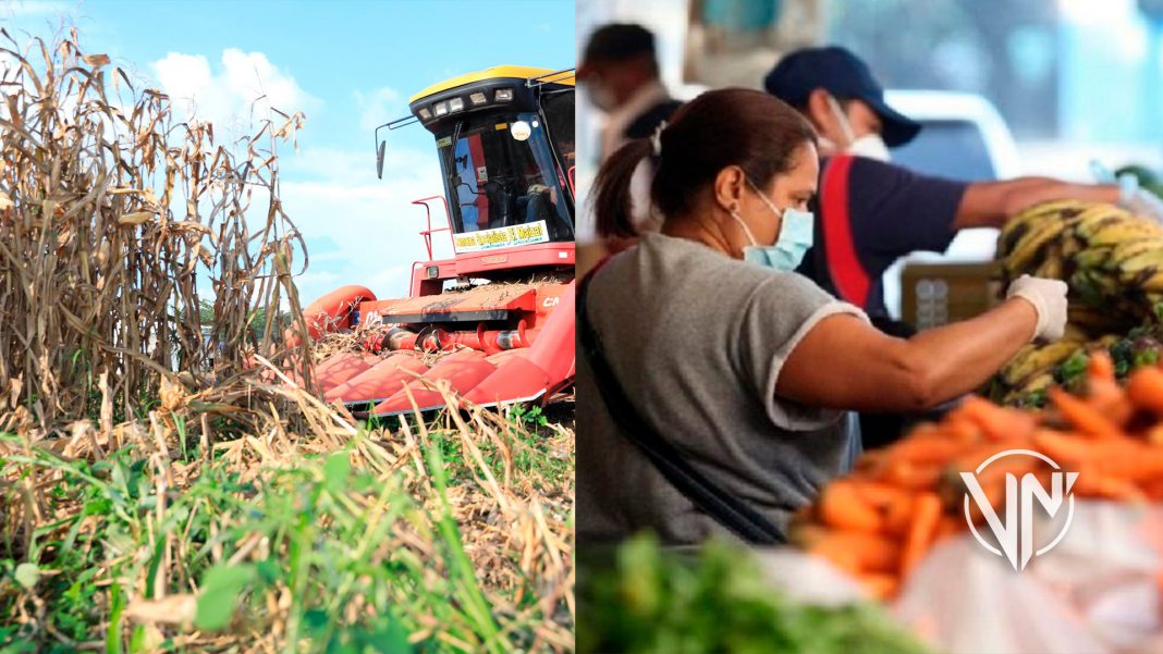 Venezuela alimentos