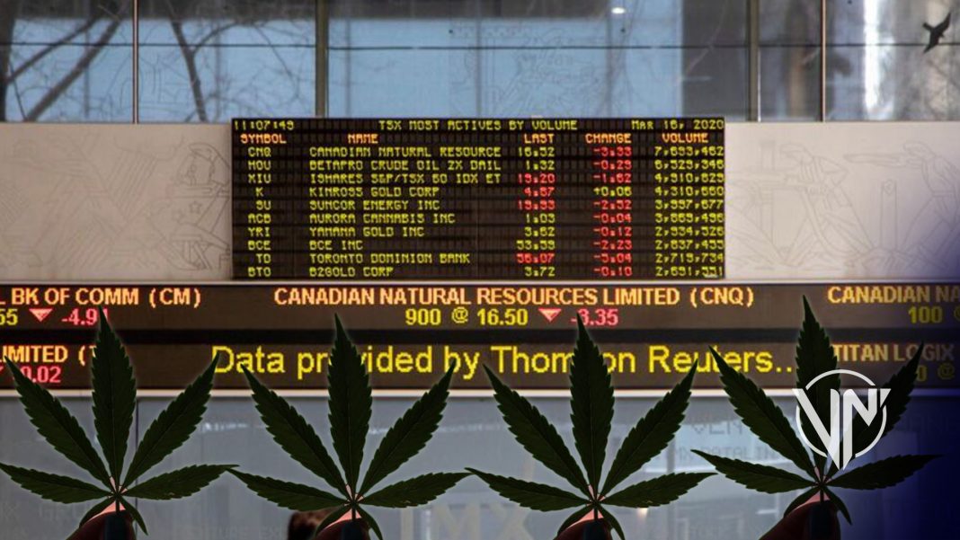 Se cotiza en alza acciones de principal productor de cannabis de Canadá