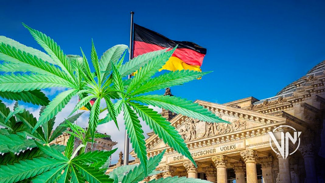 Alemania da luz verde a consumo y producción de cannabis