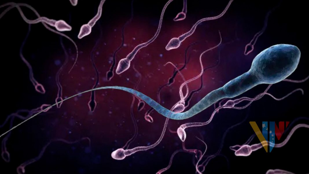 Estudio alerta sobre bajo conteo de espermatozoides