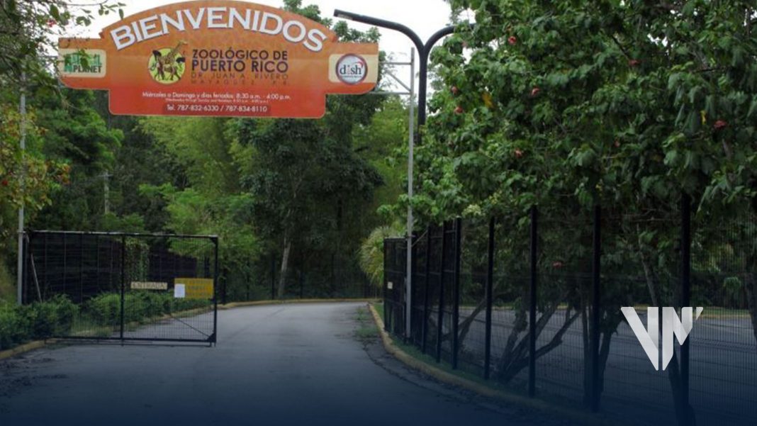 zoológico de Puerto Rico