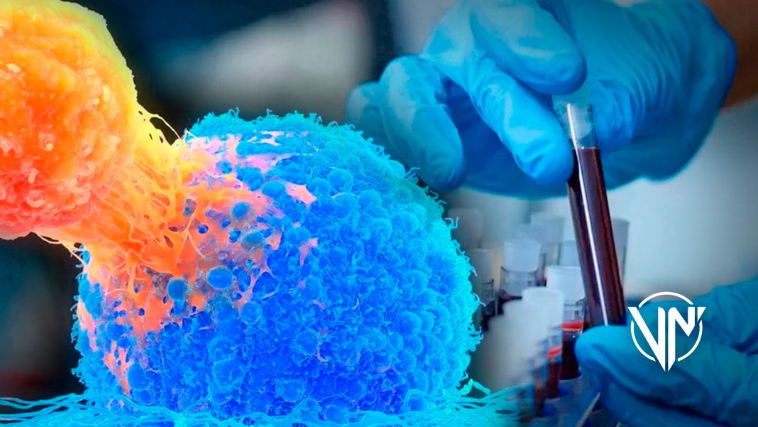 Impulsan estudio para rediseño de sistema inmunológico para combatir el cáncer