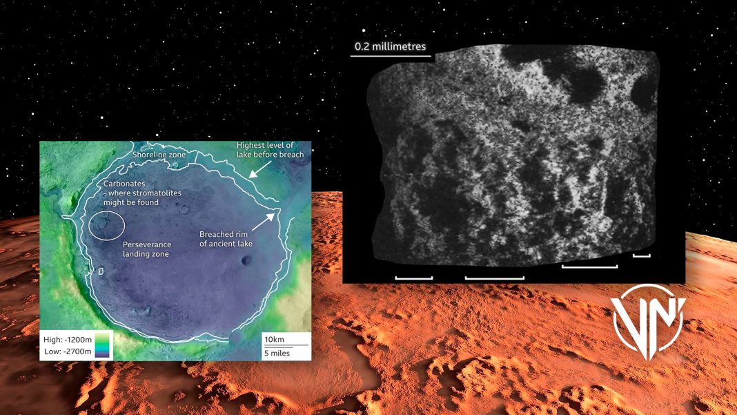 Rocas de Australia claves para determinar vida en Marte