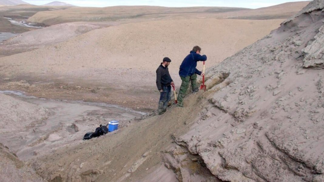 Descubren en Groenlandia, el ADN más antiguo del mundo