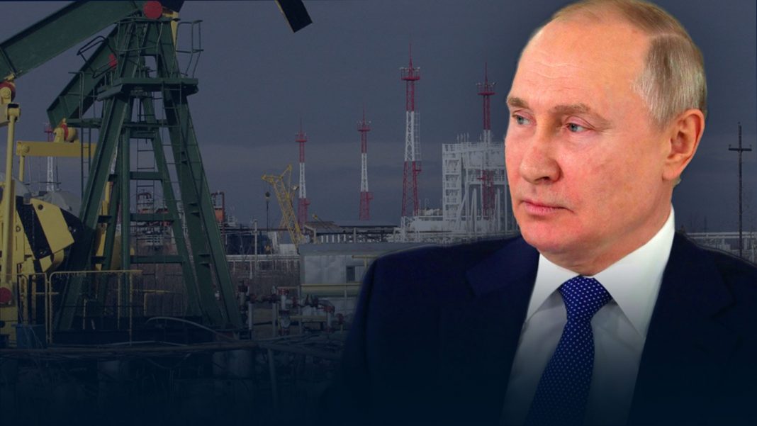 Putin califica de estúpida medida de Occidente sobre crudo ruso