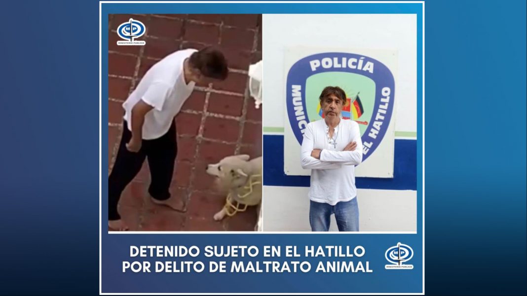 MP imputará a un hombre por el delito de zoofilia en El Hatillo