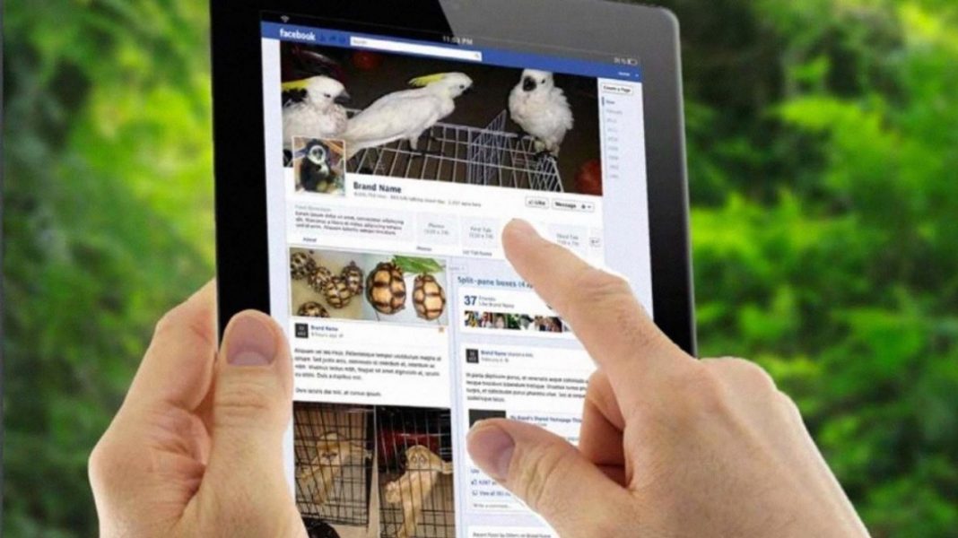 Facebook prohíbe vender animales en peligro de extinción