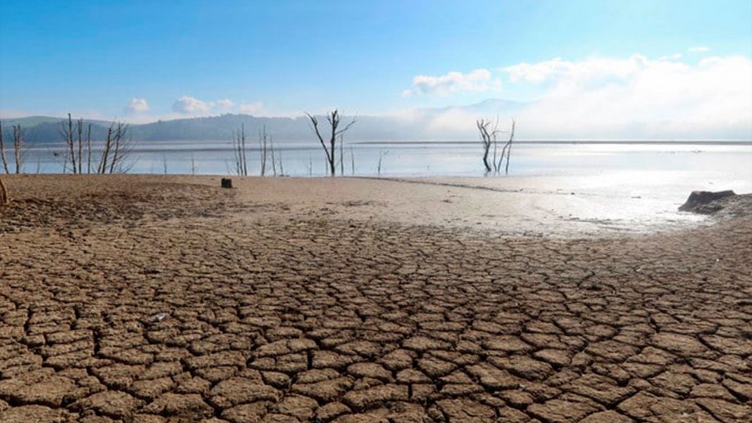 Sequía causa estragos en seguridad alimentaria de Túnez