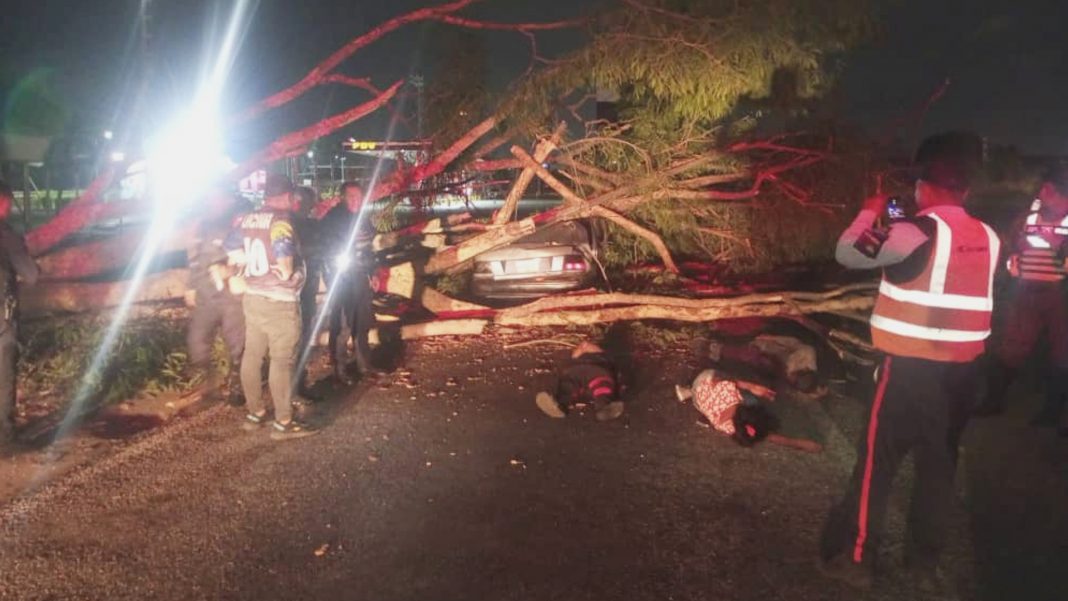 Cuatro lesionados al caer un árbol sobre un vehículo en Carabobo