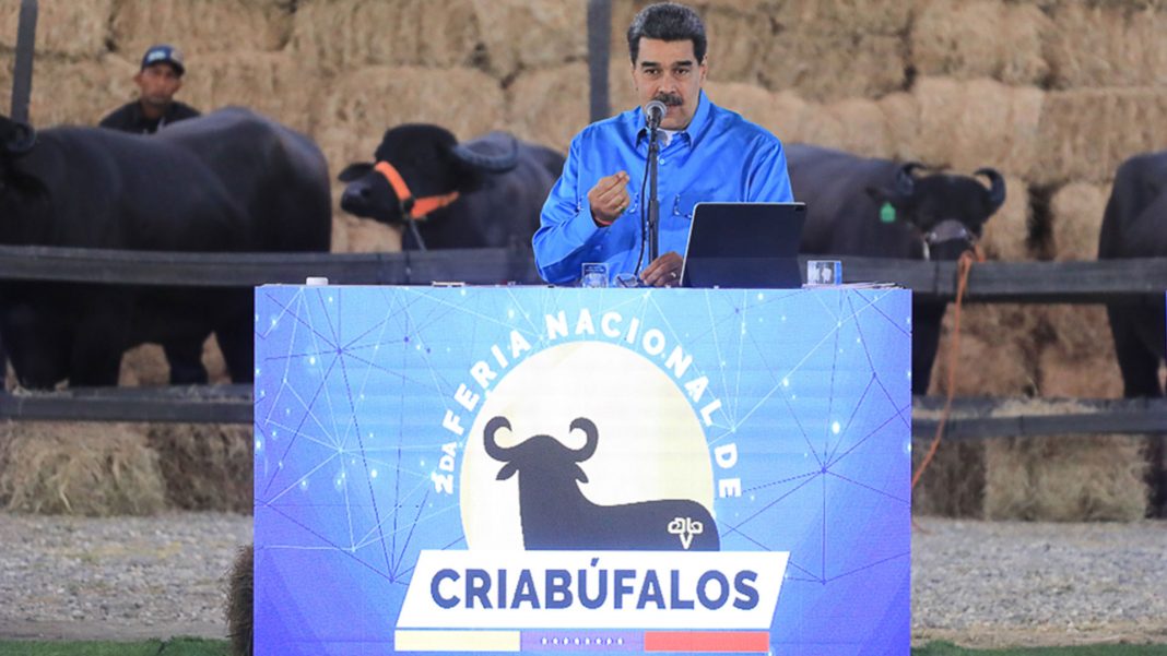 Maduro corruptos