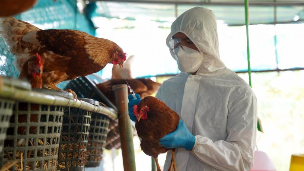 OPS gripe aviar