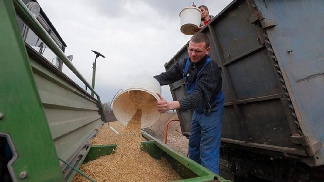 Rusia prorroga acuerdo de exportación de cereales por 60 días