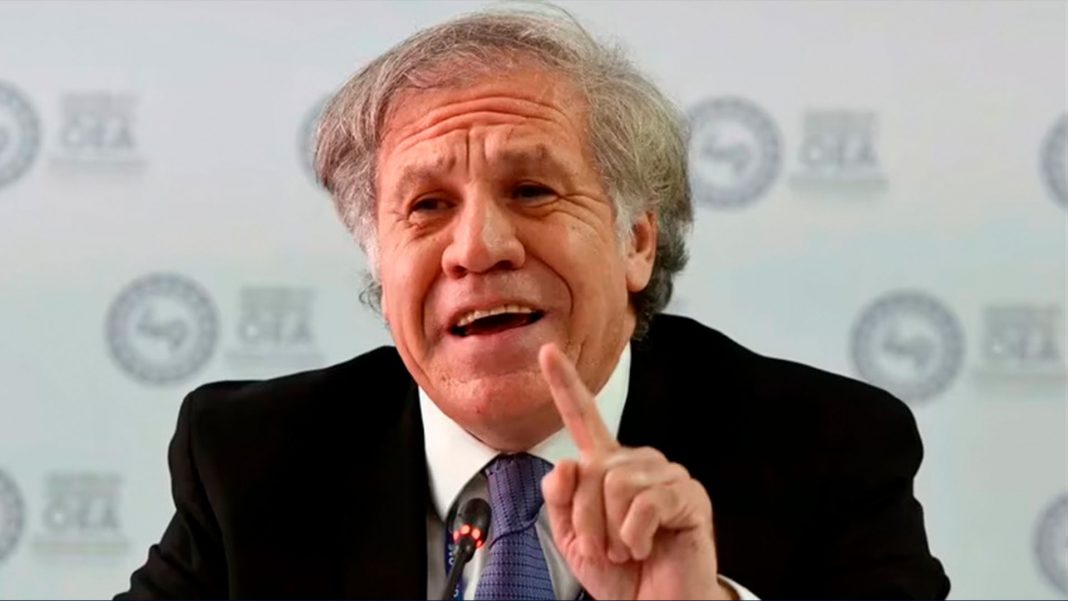 Informe señala que Luis Almagro violó obligaciones éticas dentro de la OEA