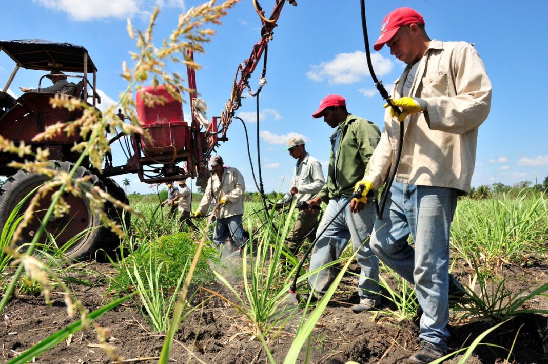 Empresarios agrícolas de EEUU insisten en levantar bloqueo a Cuba