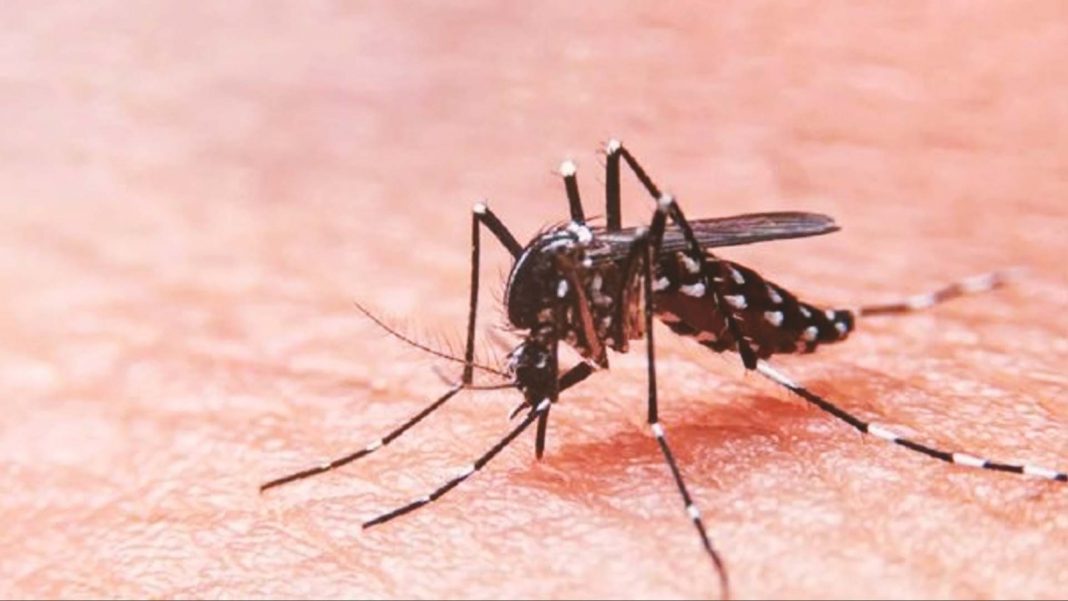 Casos Dengue Perú