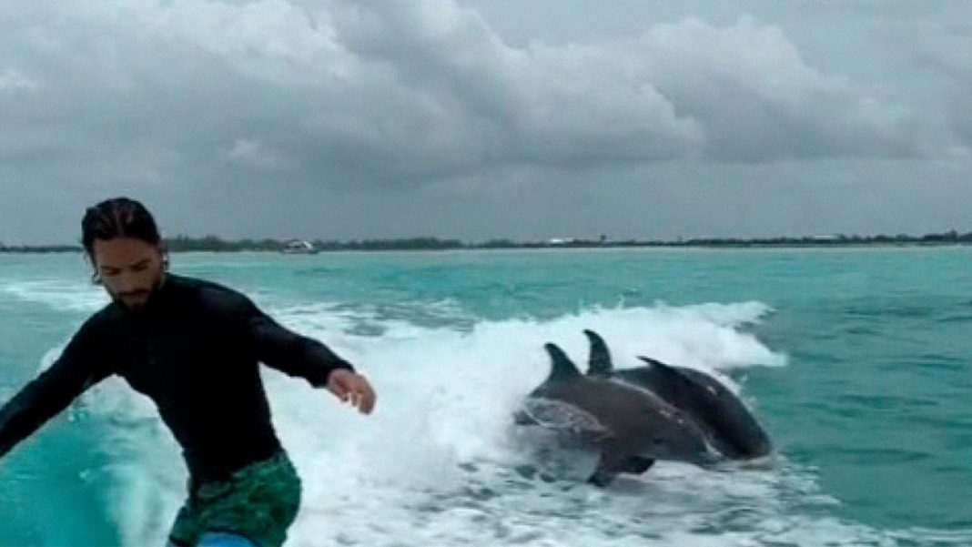Maluma surfea con delfines