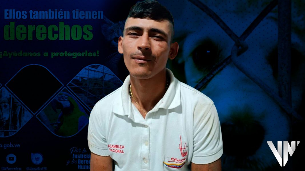 Táchira: Ministerio Público imputó a un hombre por maltrato animal