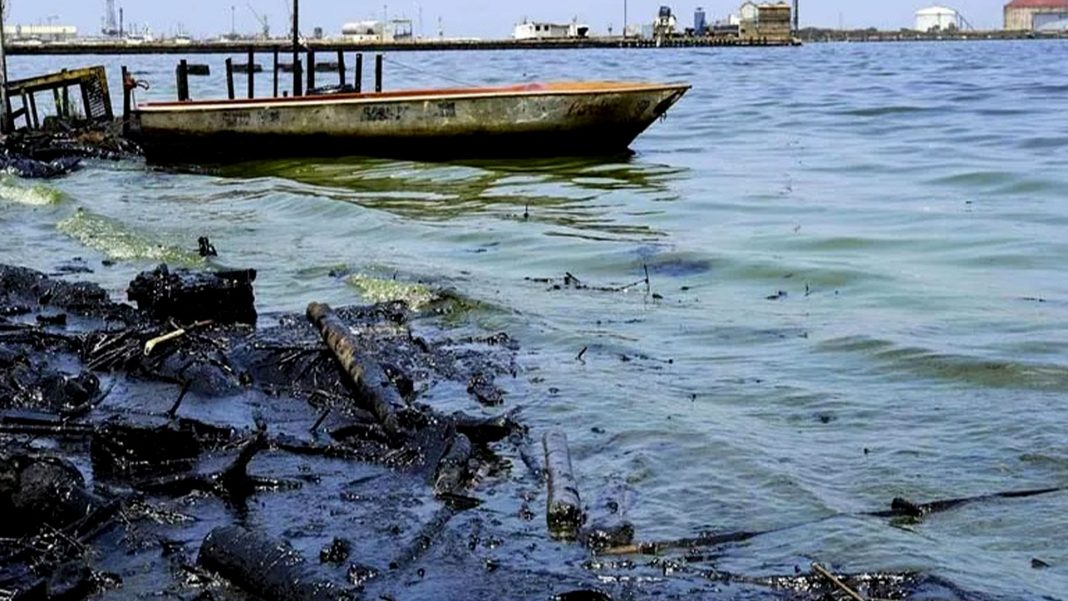 Partido Verde Venezuela recuperar Lago Maracaibo