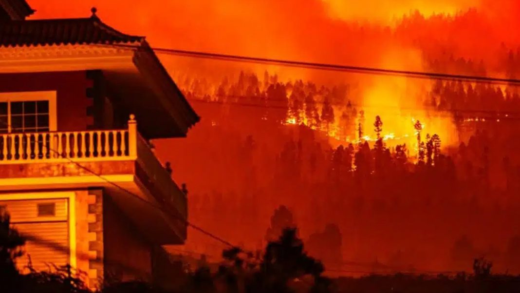 Incendios Tenerife Pedro Sánchez