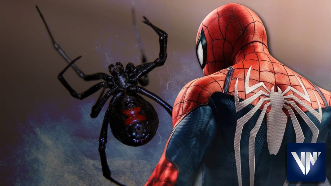 Niño en Bolivia araña Spider-Man