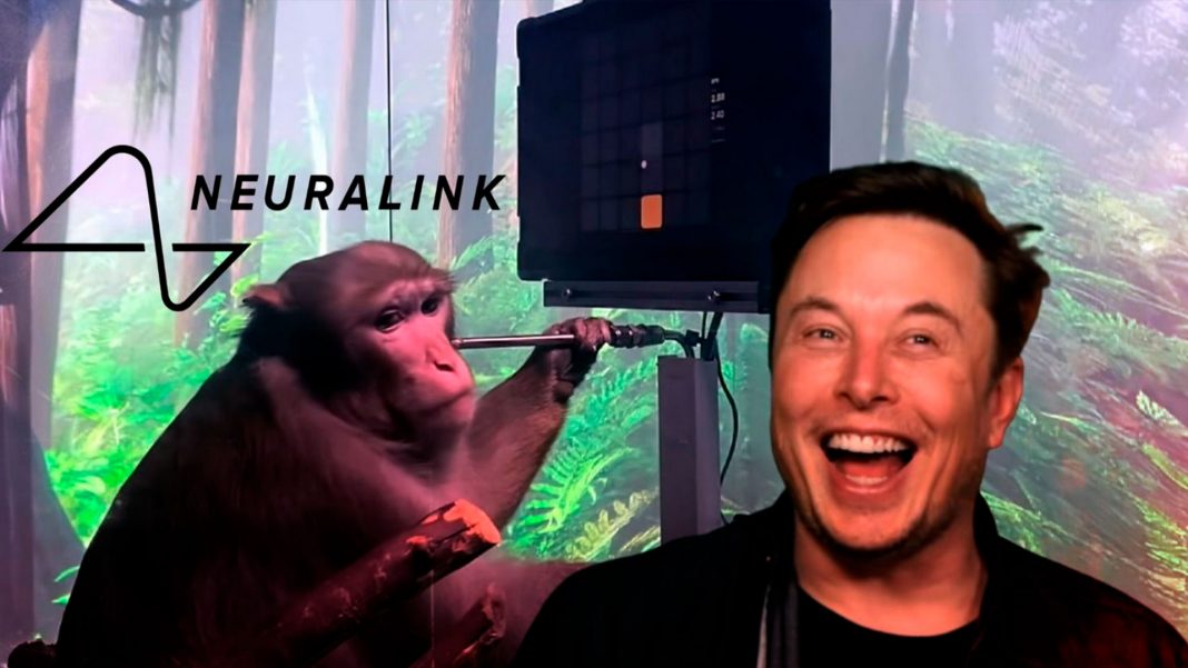 Elon Musk Neuralink muerte monos
